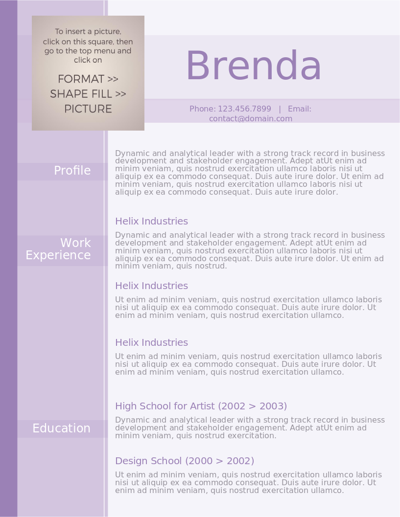 Professional Purple CV preview